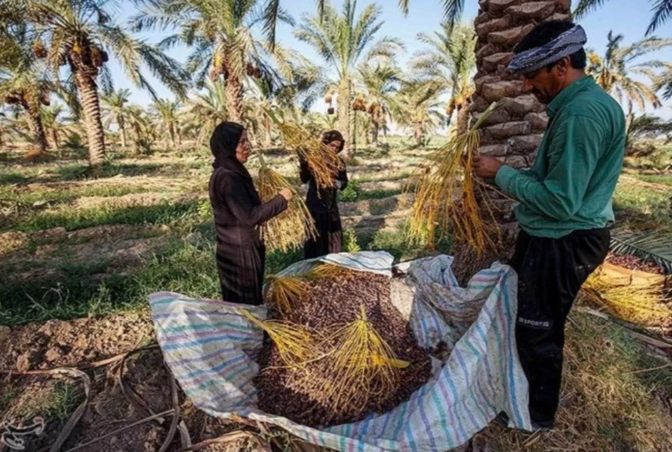 علوه یکی از روستاهای گردشگری شهرستان کارون