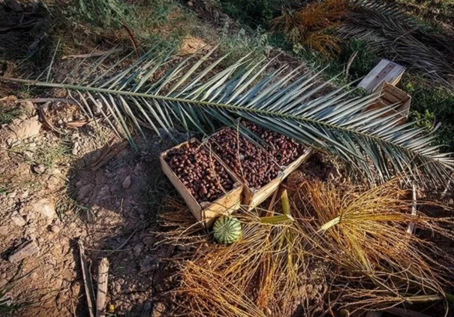 علوه یکی از روستاهای گردشگری شهرستان کارون