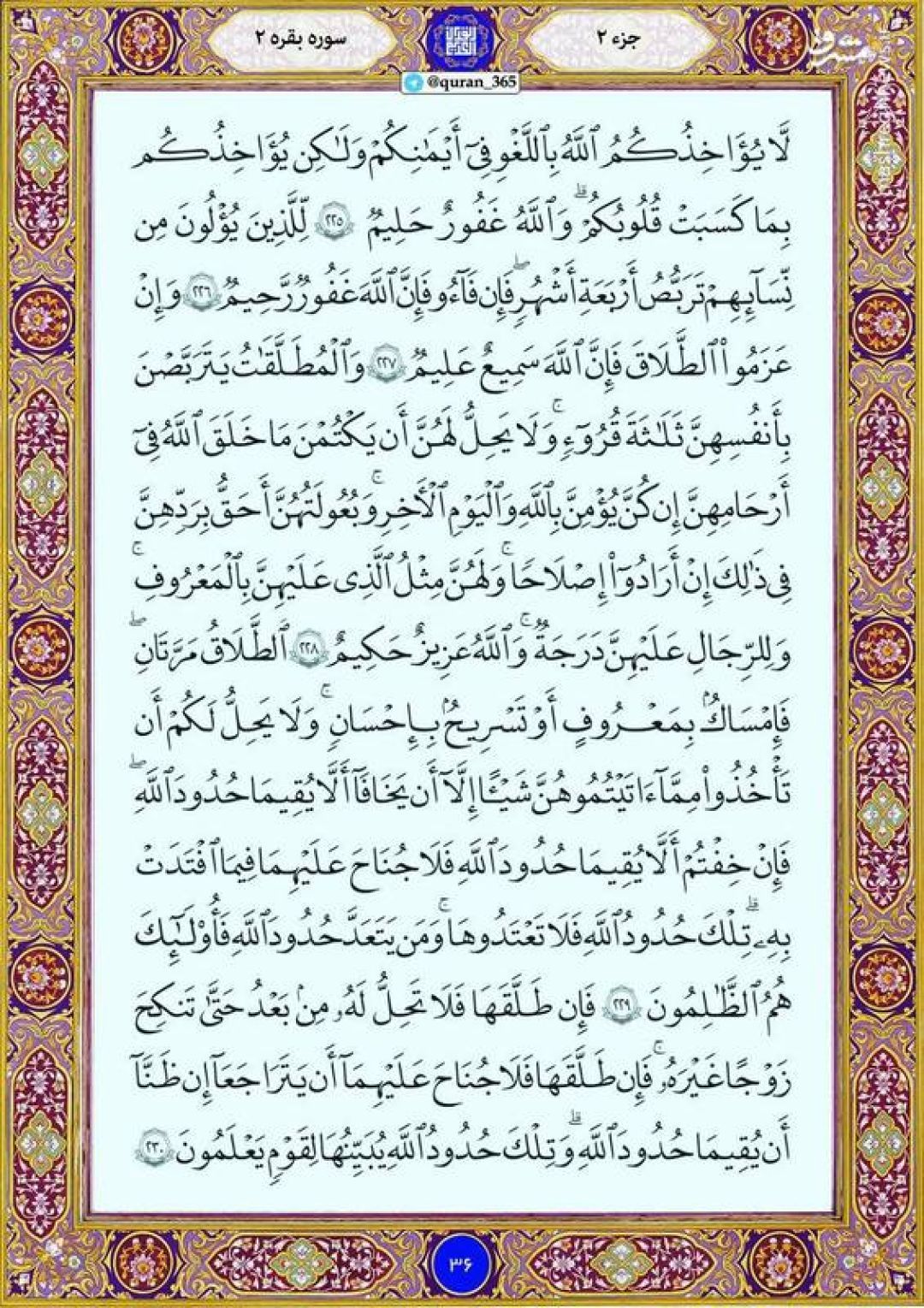 انس با قرآن عاملی برای سعادت انسان است