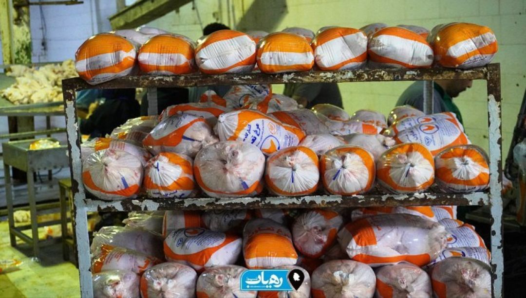 روایت یک خط تولید در کشتارگاه رامهرمز